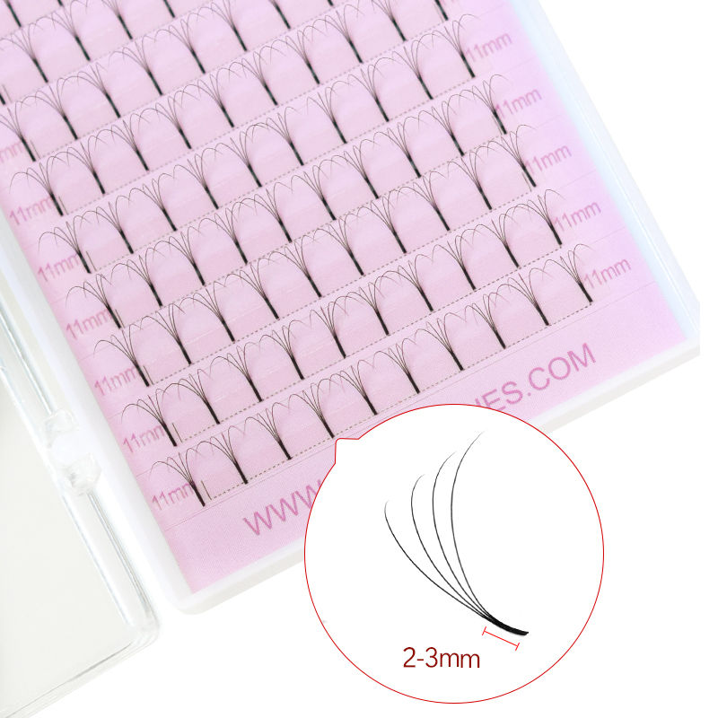 SONGLASHES Długi korzeń 2D do  – Eyelash Extension Logo recenzja i cena