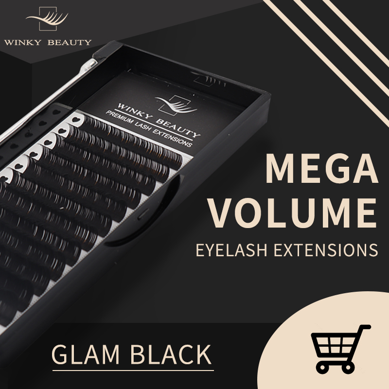 Winky Beauty Niestandardowe lo – Eyelash Extension Logo recenzja i cena