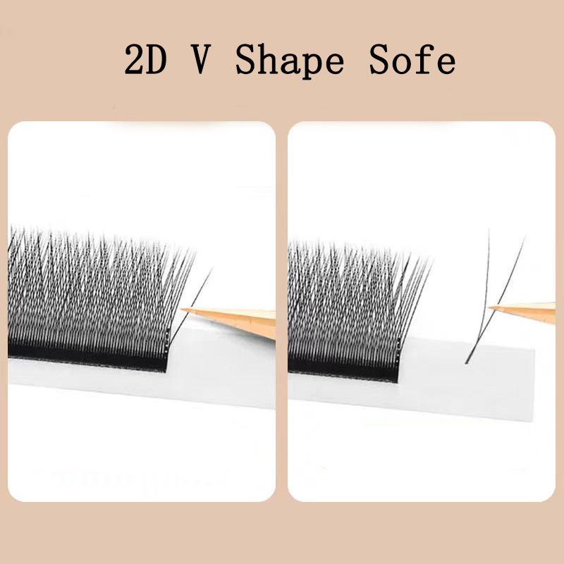 MARIA 2D Y Shape Eyelashes Han – Eyelash Extension Logo recenzja i cena